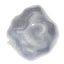 戰士的印記(亡命之徒)