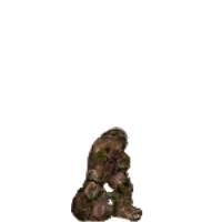 地靈之主 的普卡