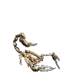 毒蠍
