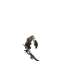 海賊骷髏首領 的普卡