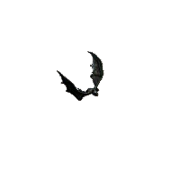 魔蝙蝠